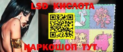 гашик Нальчик