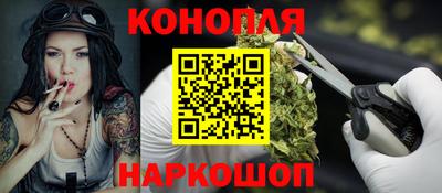 гашик Нальчик