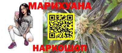 гашик Нальчик