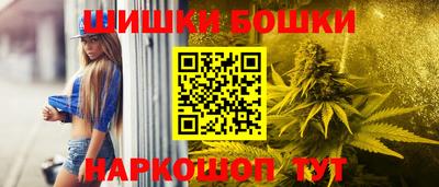 гашик Нальчик