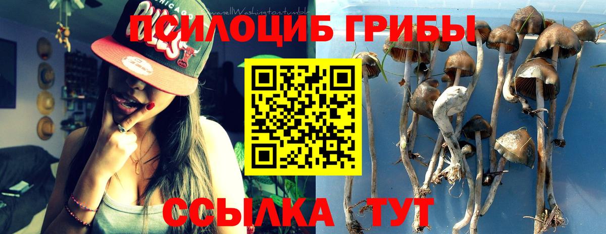 Углич  Галлюциногенные грибы мухоморы  Псилоцибиновые грибы ЛСД  Вход с VPN 